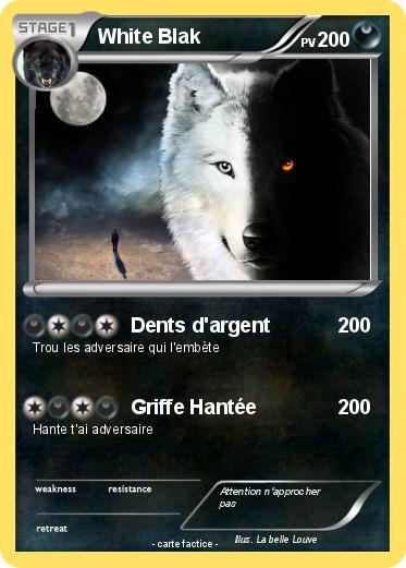 Pokemon White Blak