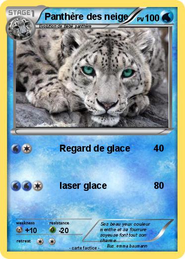Pokemon Panthère des neige