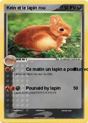 Pokemon Kein et le lapin rou