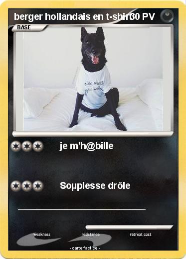 Pokemon berger hollandais en t-shirt