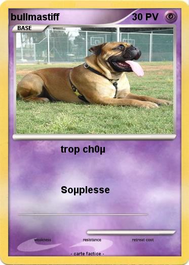 Pokemon bullmastiff