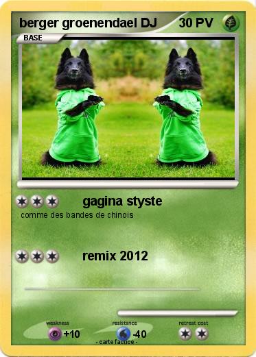 Pokemon berger groenendael DJ
