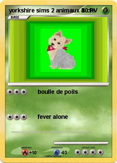 Pokemon yorkshire sims 2 animaux & cie