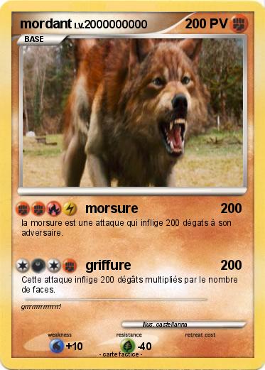 Pokemon mordant