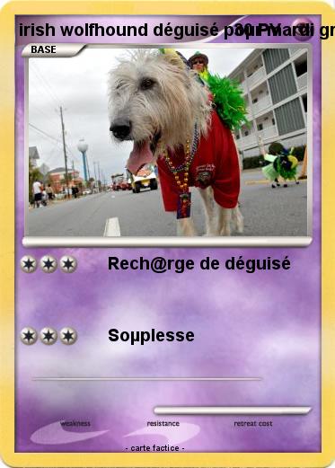 Pokemon irish wolfhound déguisé poµr mardi gr@s