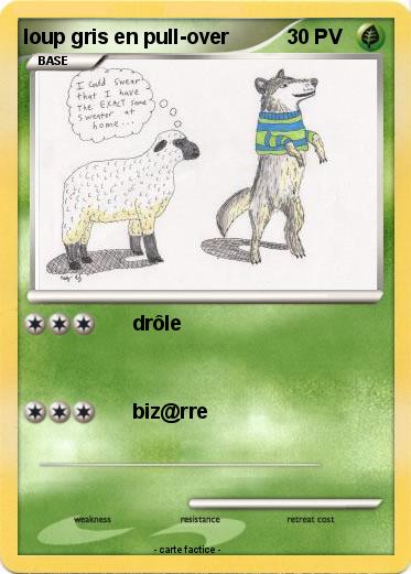 Pokemon loup gris en pull-over