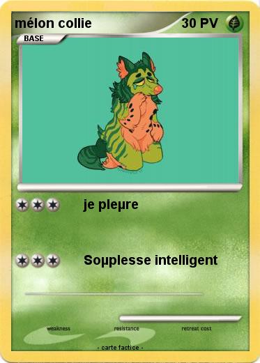 Pokemon mélon collie