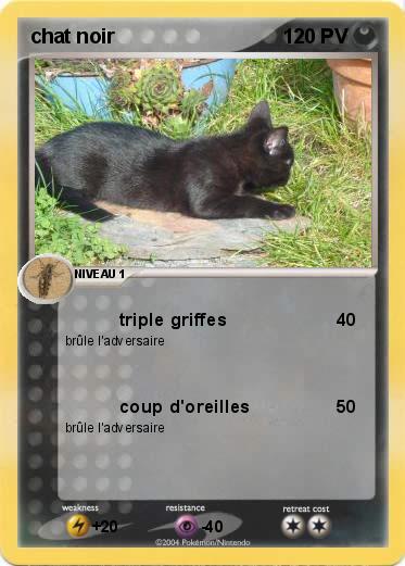 Pokemon chat noir