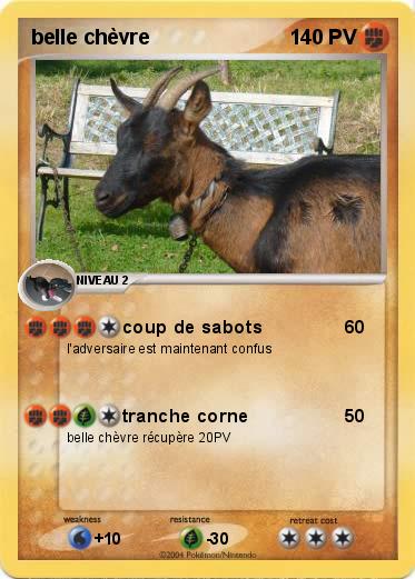 Pokemon belle chèvre