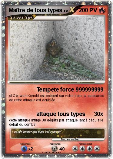 Pokemon Maître de tous types