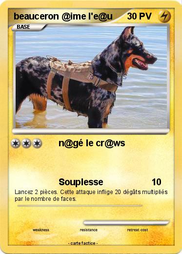 Pokemon beauceron @ime l'e@u