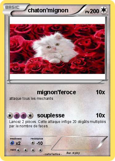 Pokemon chaton'mignon