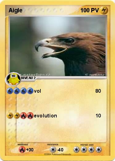 Pokemon Aigle