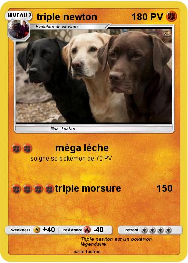 Pokemon triple newton