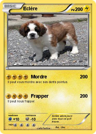 Pokemon Eclère