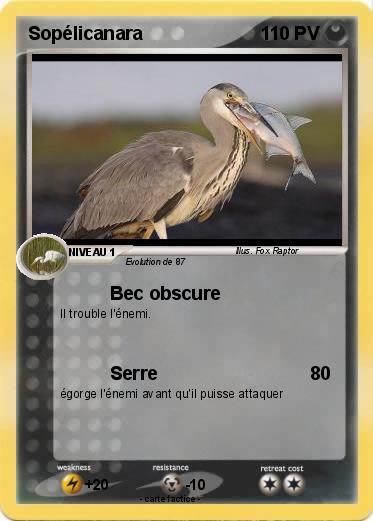 Pokemon Sopélicanara
