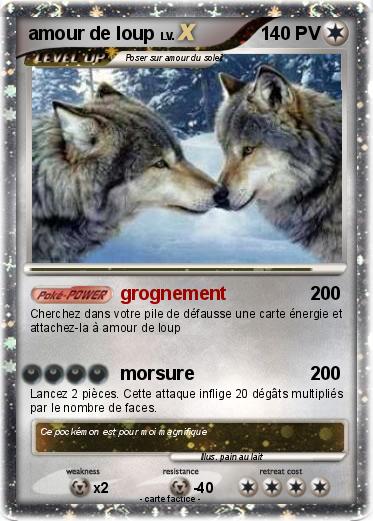 Pokemon amour de loup