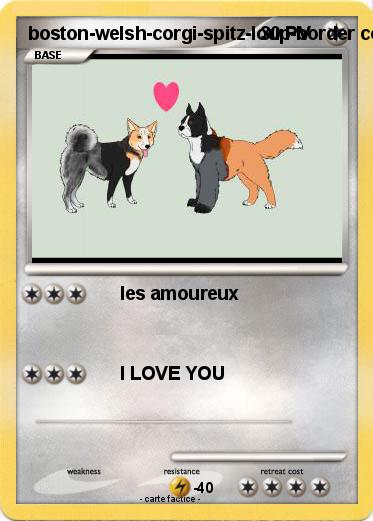 Pokemon boston-welsh-corgi-spitz-loup-border collie  love nova scotia retriever-chow mixte