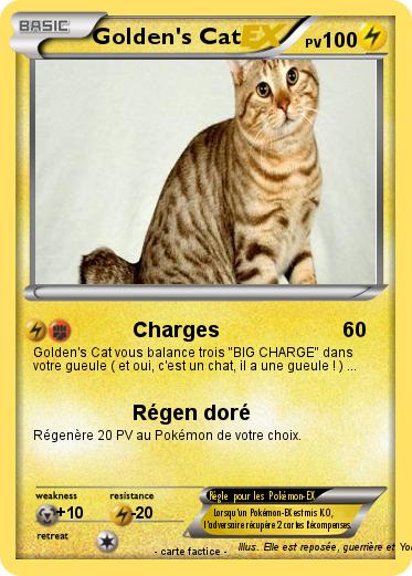 Pokemon Golden's Cat