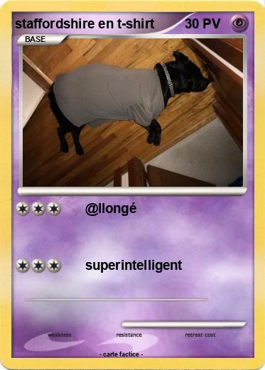 Pokemon staffordshire en t-shirt