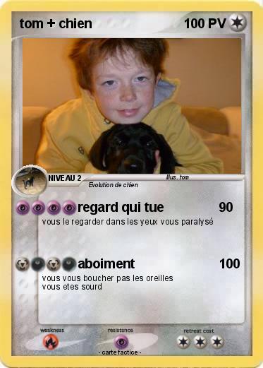 Pokemon tom + chien