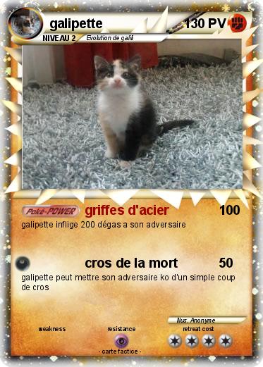 Pokemon galipette