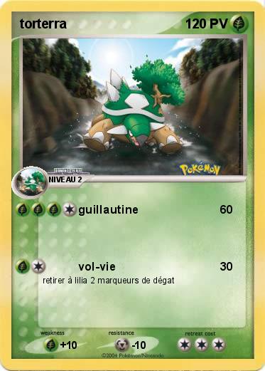 Pokemon torterra