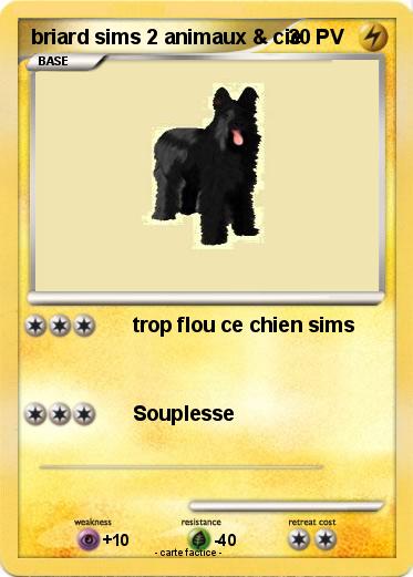 Pokemon briard sims 2 animaux & cie
