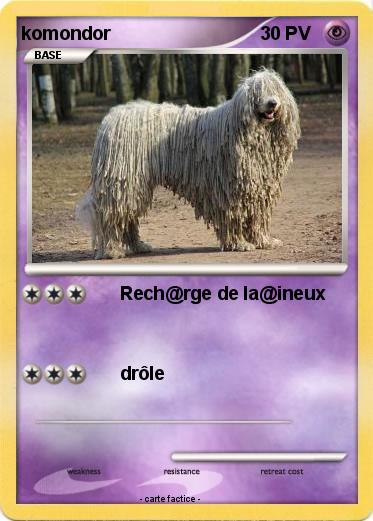 Pokemon komondor