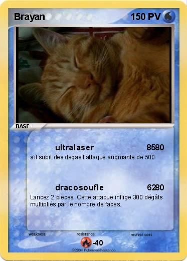 Pokemon Brayan