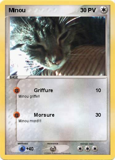 Pokemon Minou
