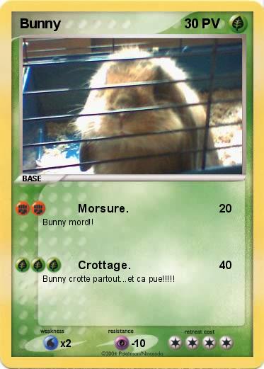 Pokemon Bunny