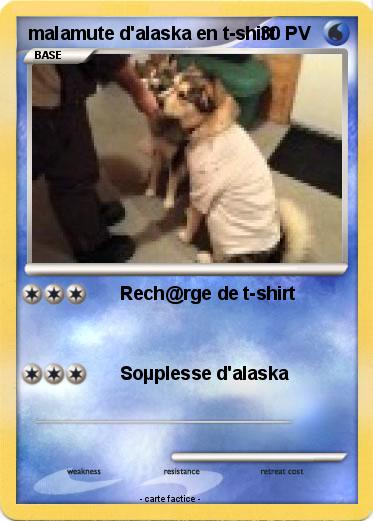 Pokemon malamute d'alaska en t-shirt