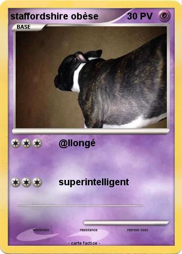 Pokemon staffordshire obèse