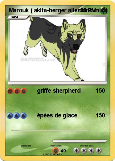 Pokemon Marouk ( akita-berger allemand mix )
