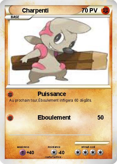 Pokemon Charpenti