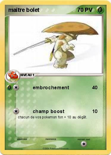 Pokemon maître bolet
