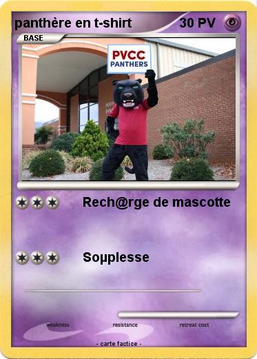 Pokemon panthère en t-shirt