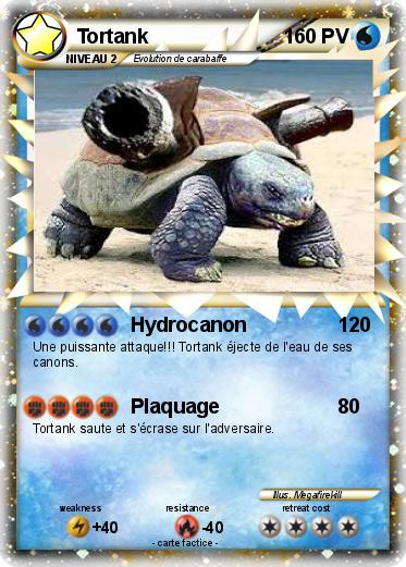 Pokemon Tortank