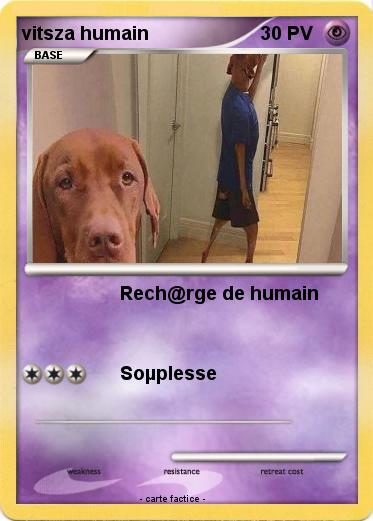 Pokemon vitsza humain