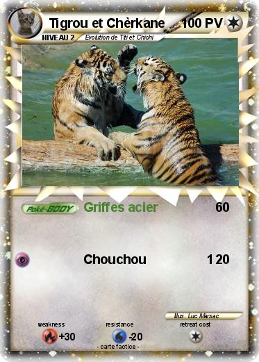 Pokemon Tigrou et Chèrkane