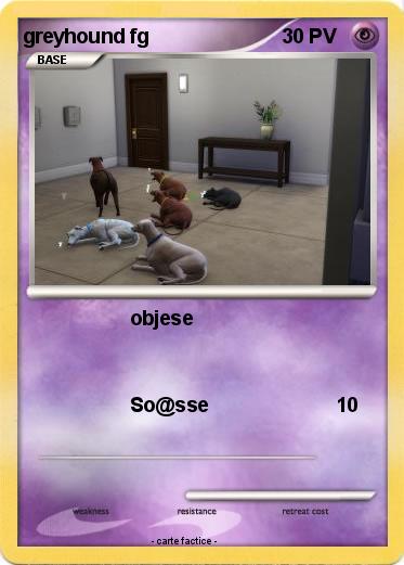 Pokemon greyhound fg