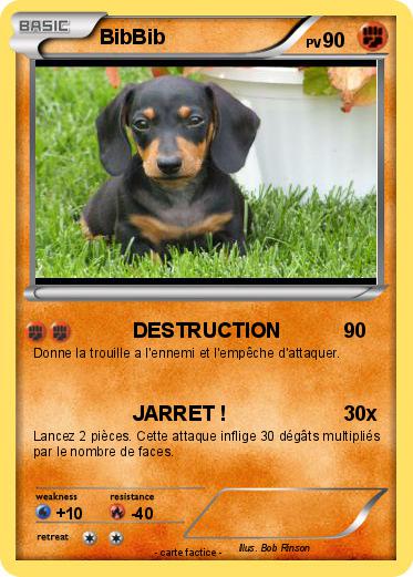 Pokemon BibBib