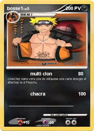 Pokemon bosse1