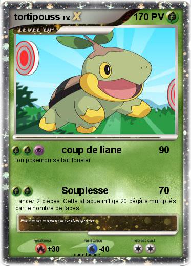 Pokemon tortipouss