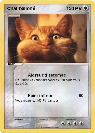 Pokemon Chat balloné