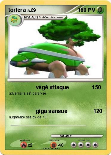 Pokemon tortera