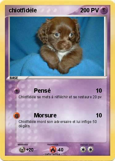 Pokemon chiotfidèle