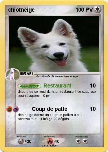 Pokemon chiotneige
