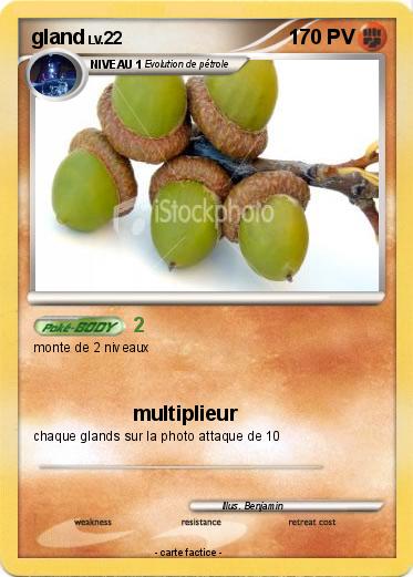 Pokemon gland